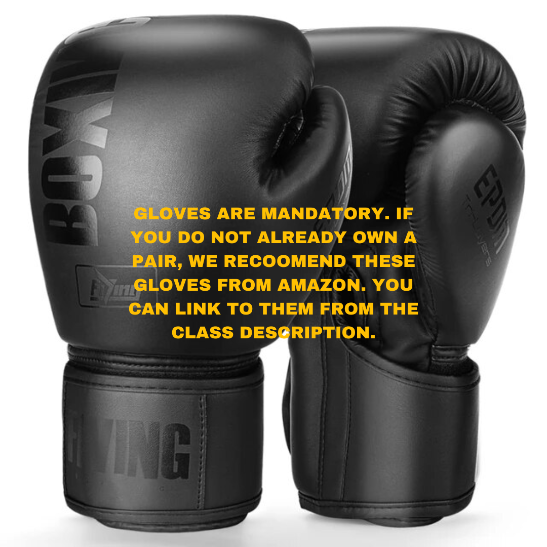 The Work Out - CKO Kickboxing Edition