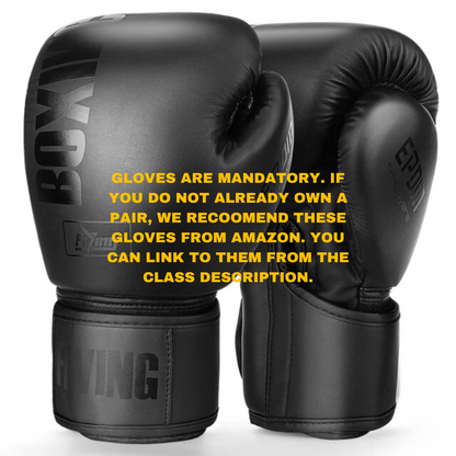 The Work Out - CKO Kickboxing Edition